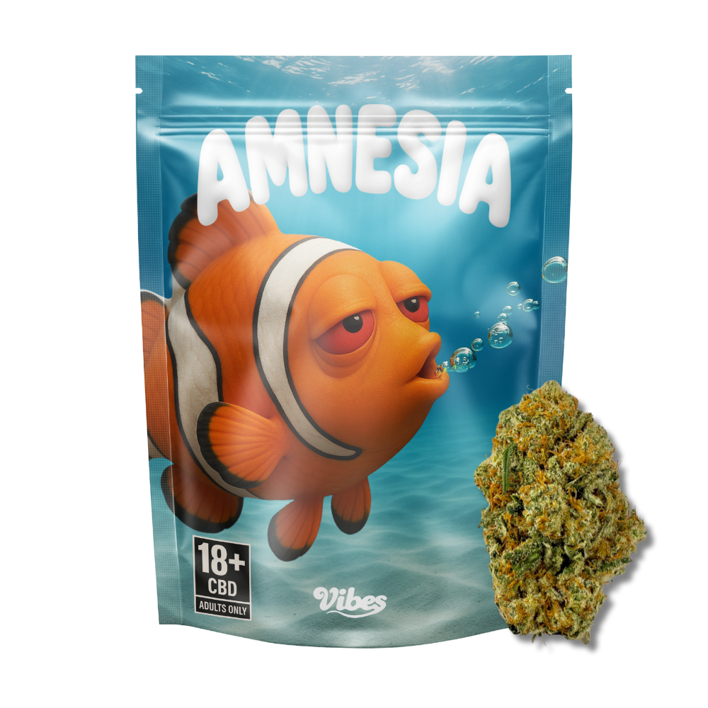 Amnesia Haze CBD 🐠 | Vibes