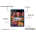 Purple Haze CBC | Vibestation