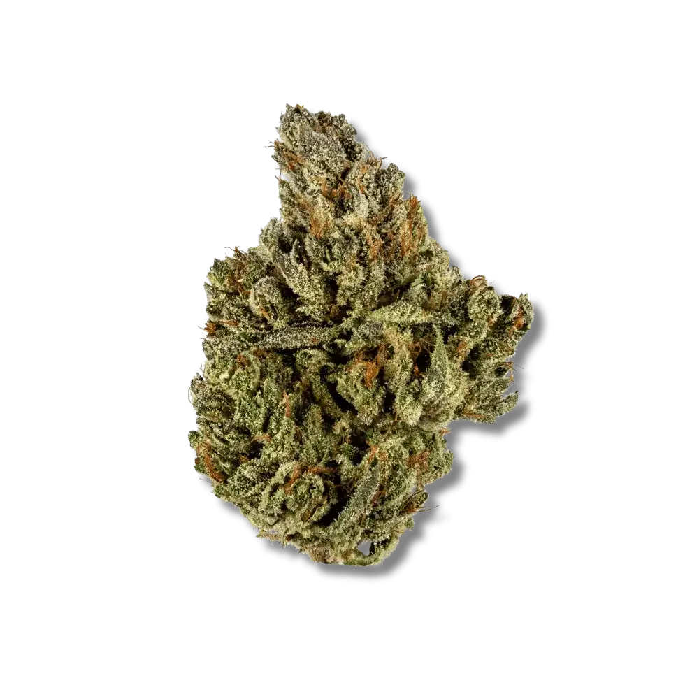 Earth Quake CBD 🌋 | Vibes