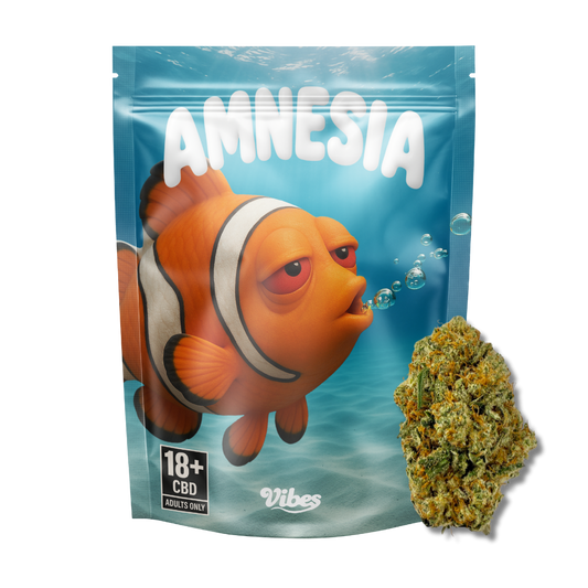 Amnesia Haze CBD 🐠 | Vibes