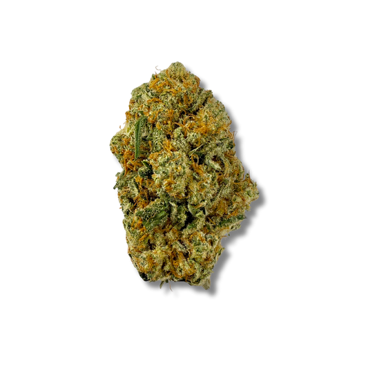 Amnesia Haze CBD 🐠 | Vibes