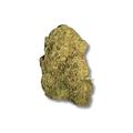 Obiwan OG CBC 🚀 | Vibes