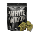White Widow CBD 🕷️ | Vibes