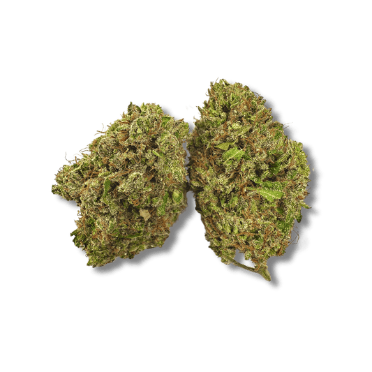 White Widow CBD 🕷️ | Vibes