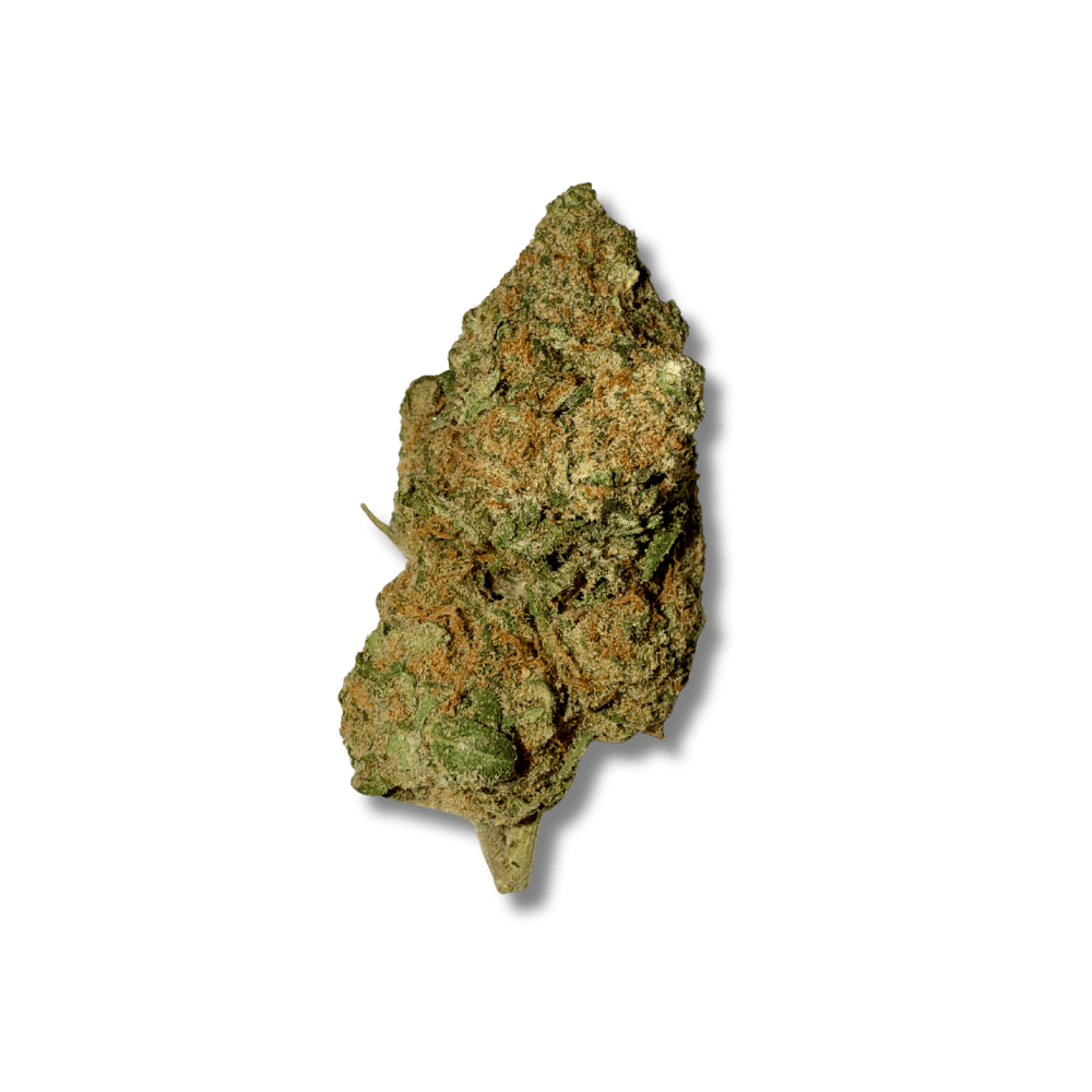 Gasolina Kush CBD⛽ | Vibes