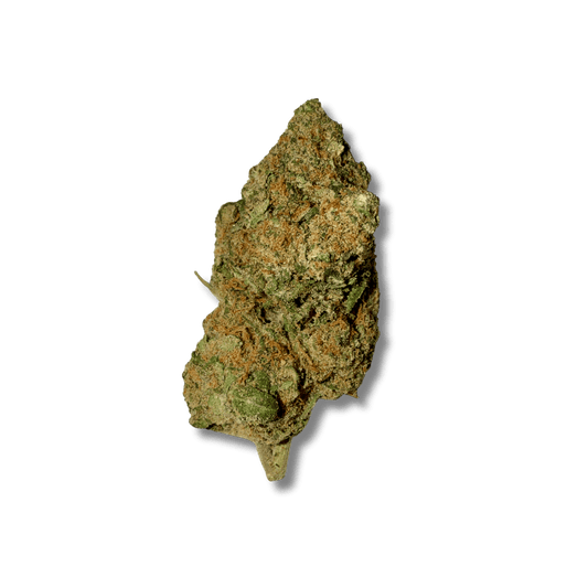 Gasolina Kush CBD⛽ | Vibes